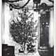 Illustration for article titled The Very American History of Christmas Lights